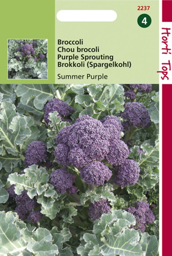 Broccoli Summer Purple  (Brassica) 75 zaden